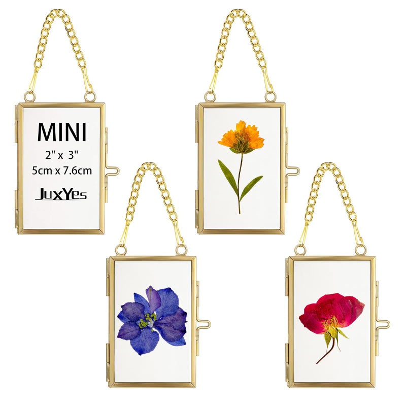 JUXYES Set of 4 Mini Wall Hanging Brass Frames for Pressed Flowers, Double Glass Hanging Picture Artwork Display Frame, Vertical Gold Floater Style Gallery Wall Frame for Photo Picture Poster etc, 3x2 Inches - Image 1